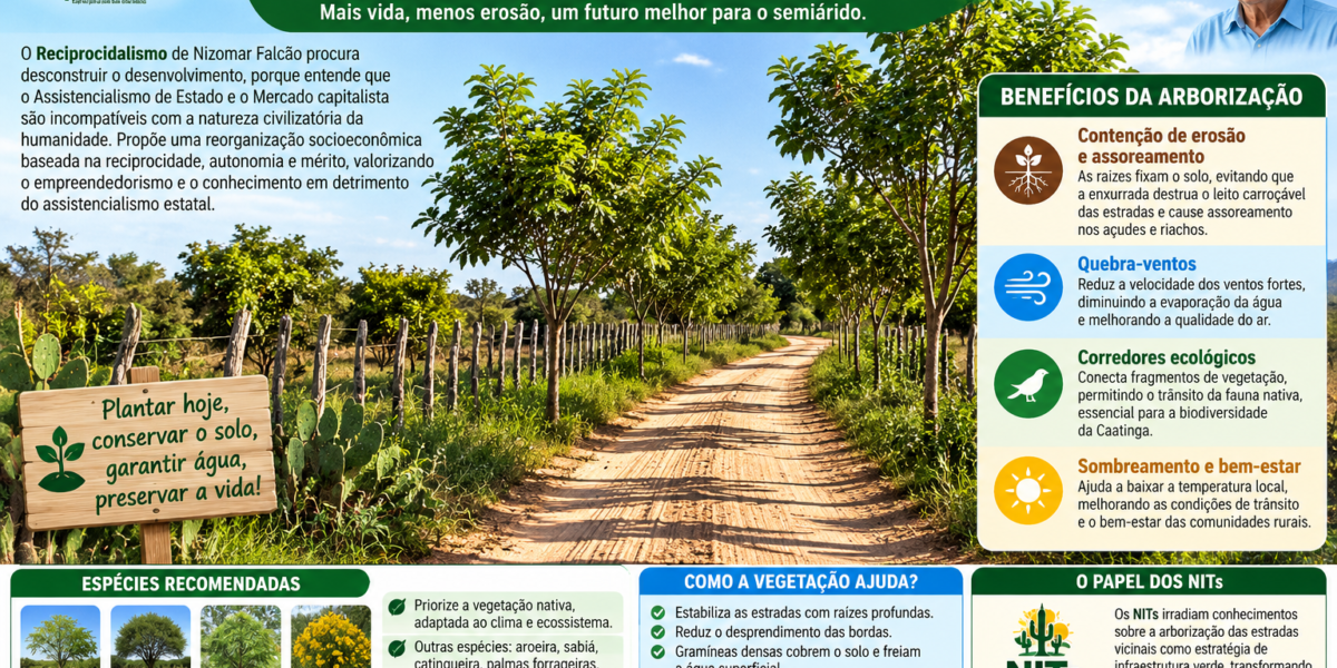 Árvores no Caminho – Reflorestamento das Estradas Vicinais
