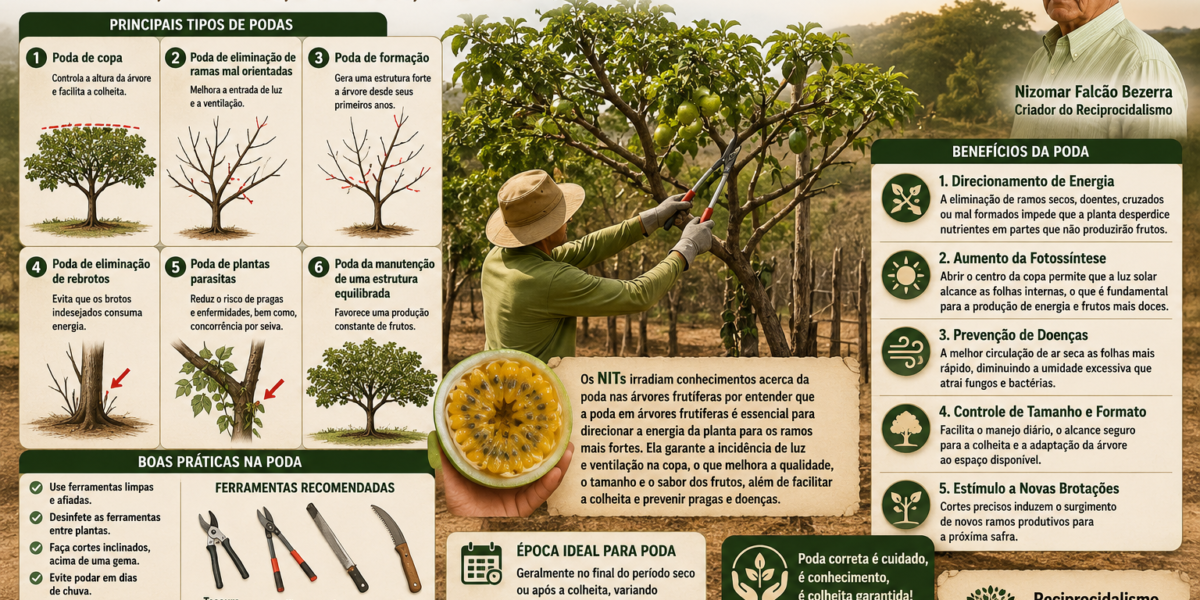 Poda de Frutíferas