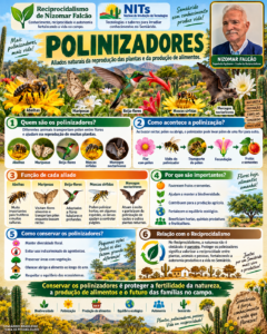 Polinizadores