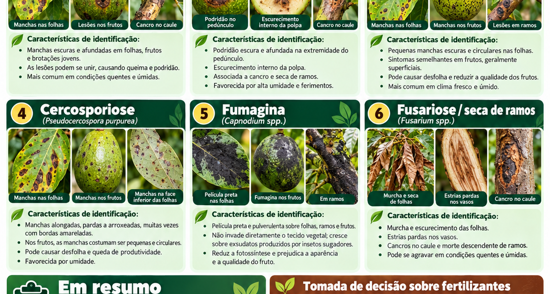 Abacateiro – Doenças Fúngicas