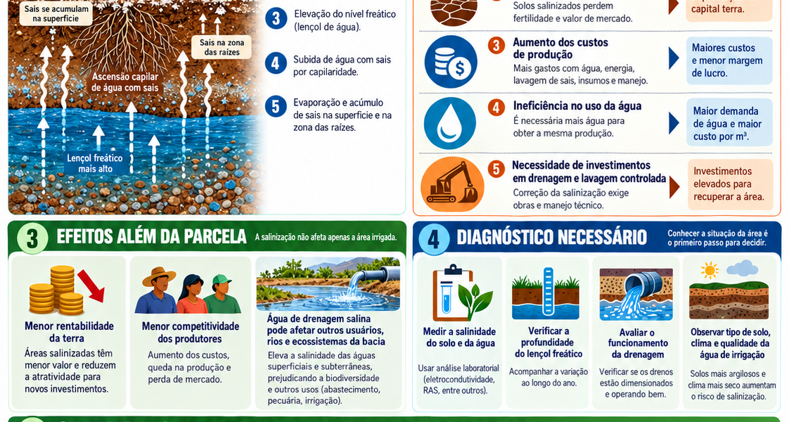 Irrigação – Salinização