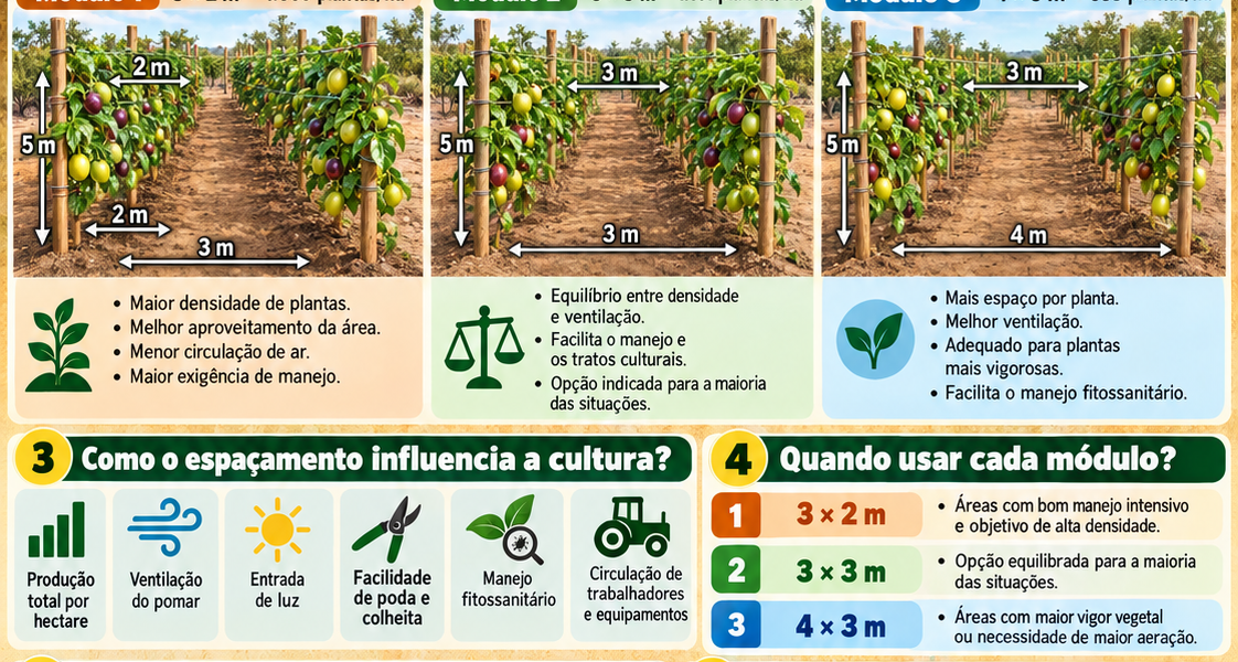 Maracujá – Espaçamento