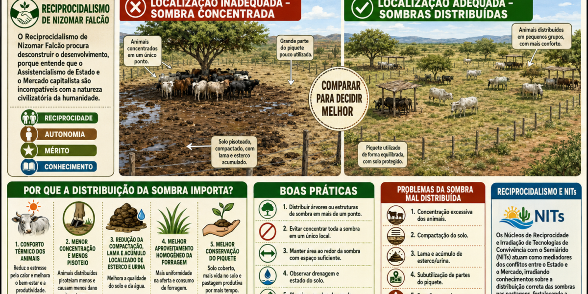 Pastejo Rotacionado – Colocação das Sombras